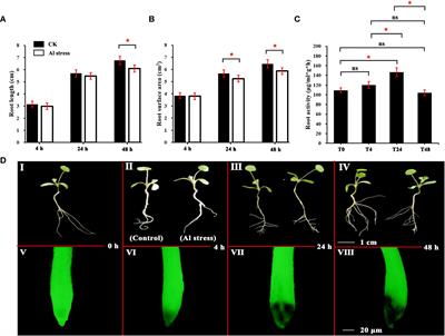 Genome-wide analysis and identification of microRNAs in Medicago truncatula under aluminum stress